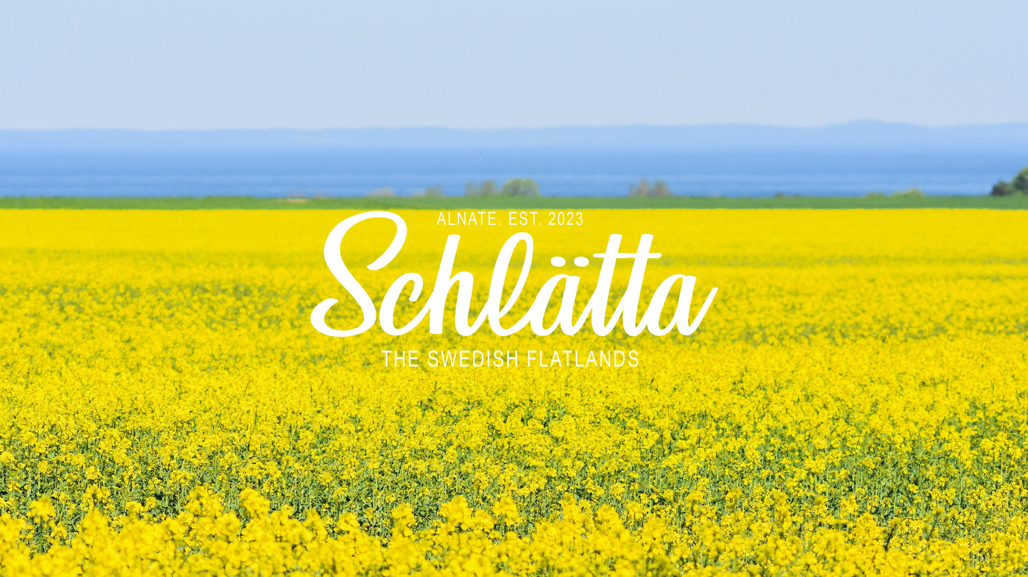 Schlätta