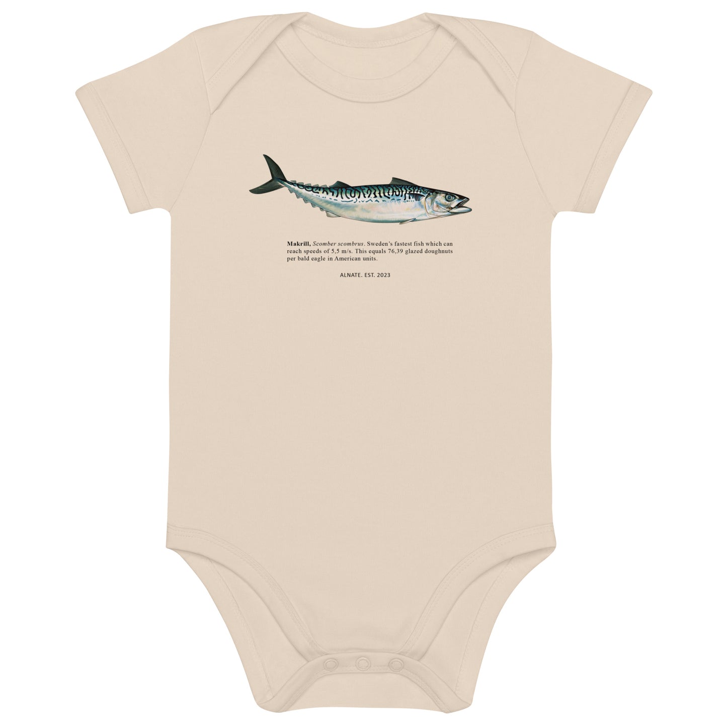 Body - Makrill